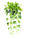 لاب لاب پۆتس
