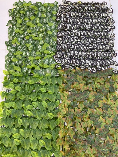 خضار 40*60