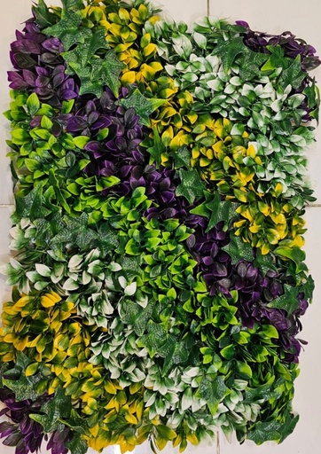 FRIZ 40X60