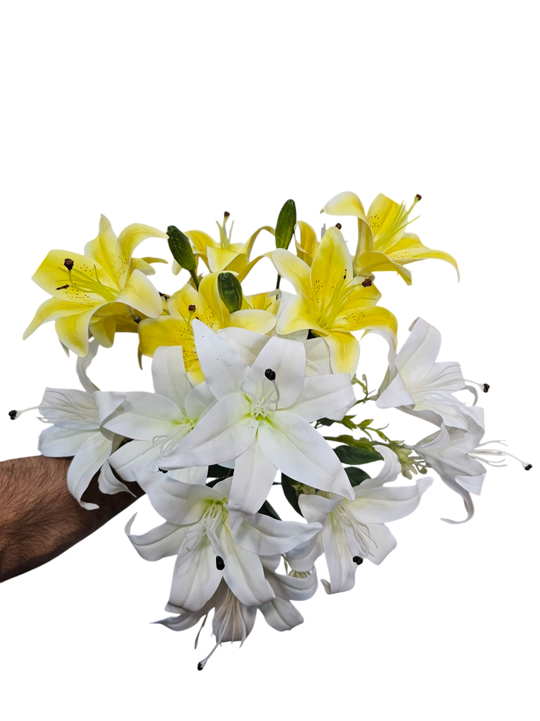ZAMBAQ