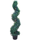 دار