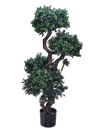 دار