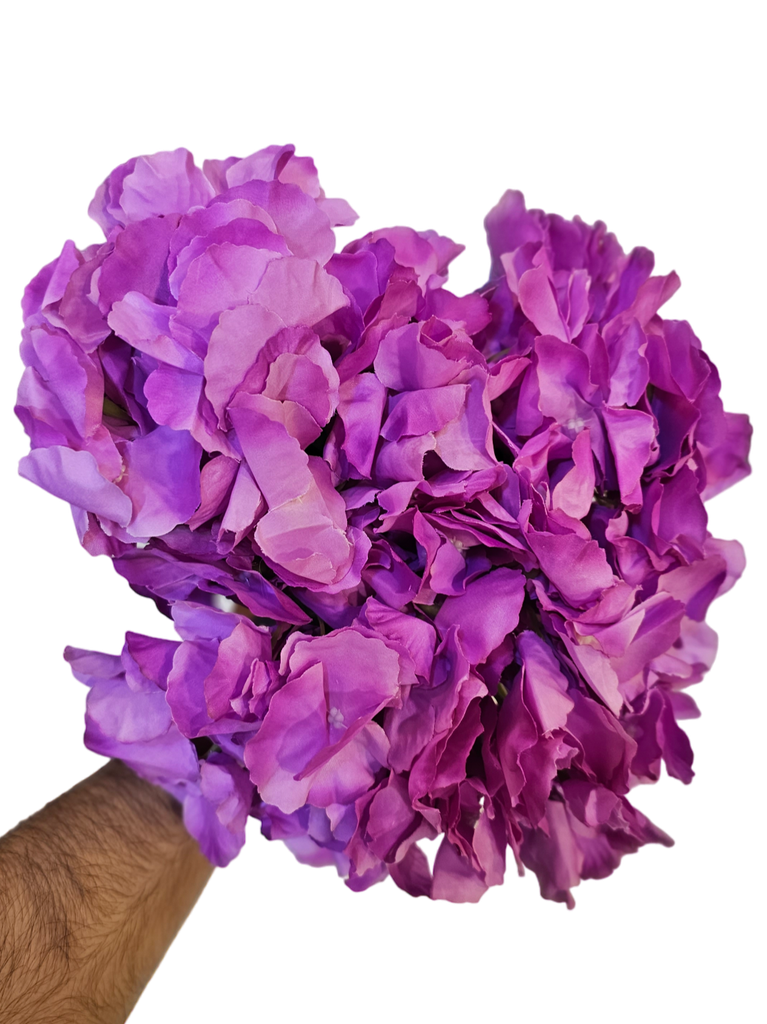 هایدرنجە مۆر