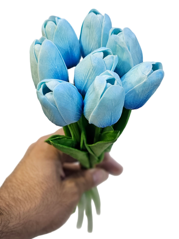 گولی تولیب