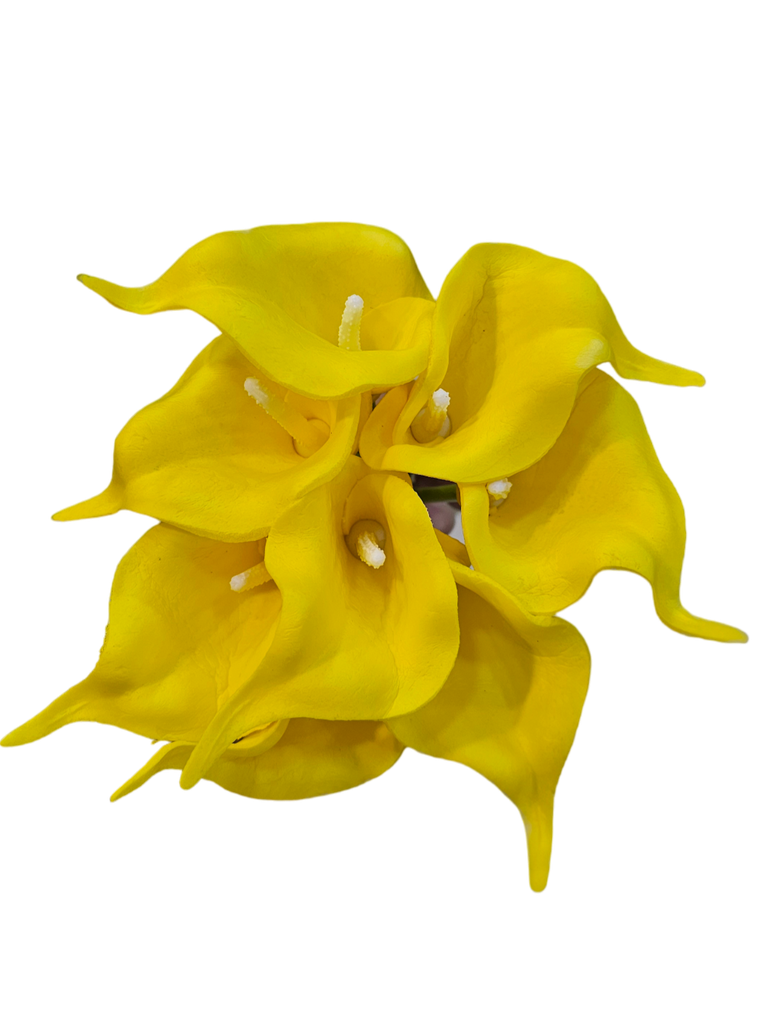 گولی گالە
