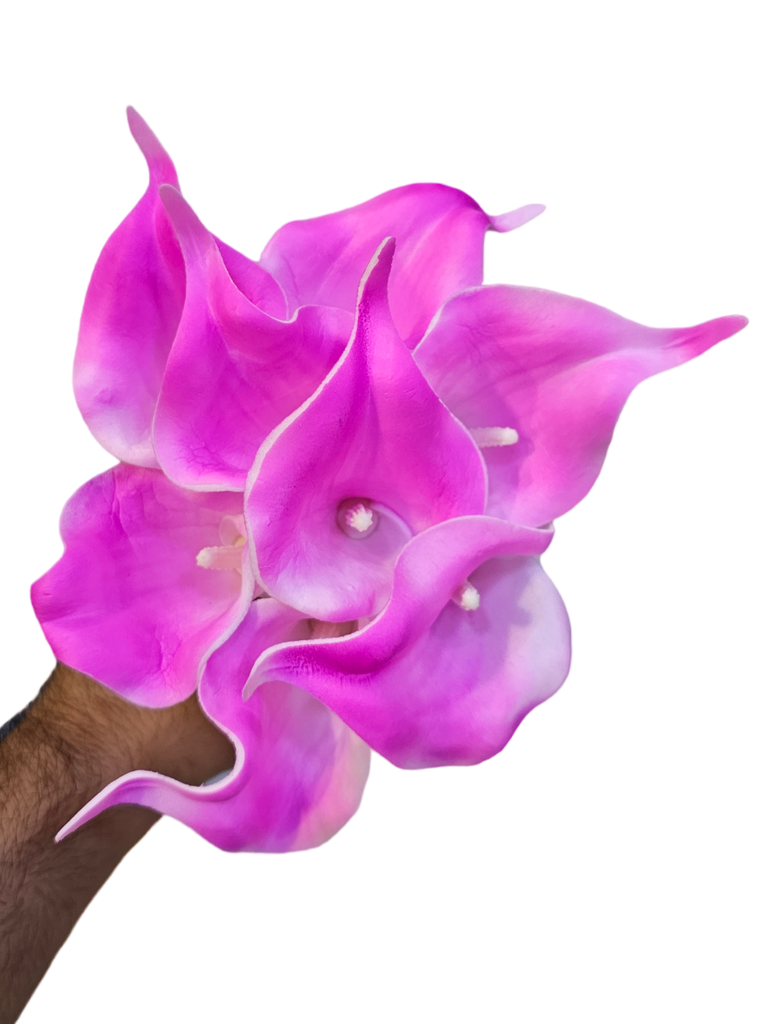 گولی گالە