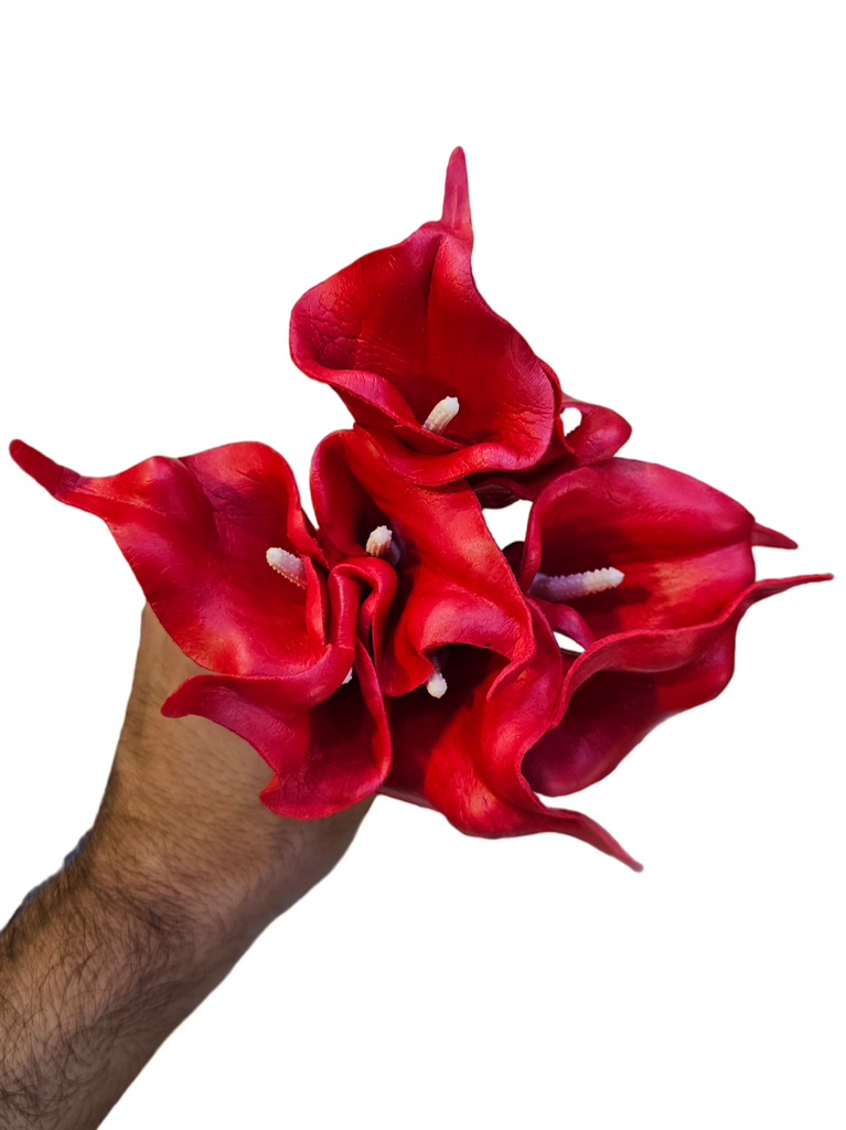 گولی گالە