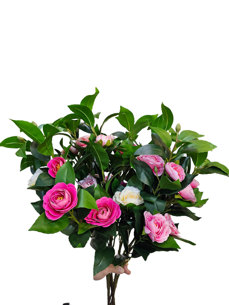چەپکی سەوز