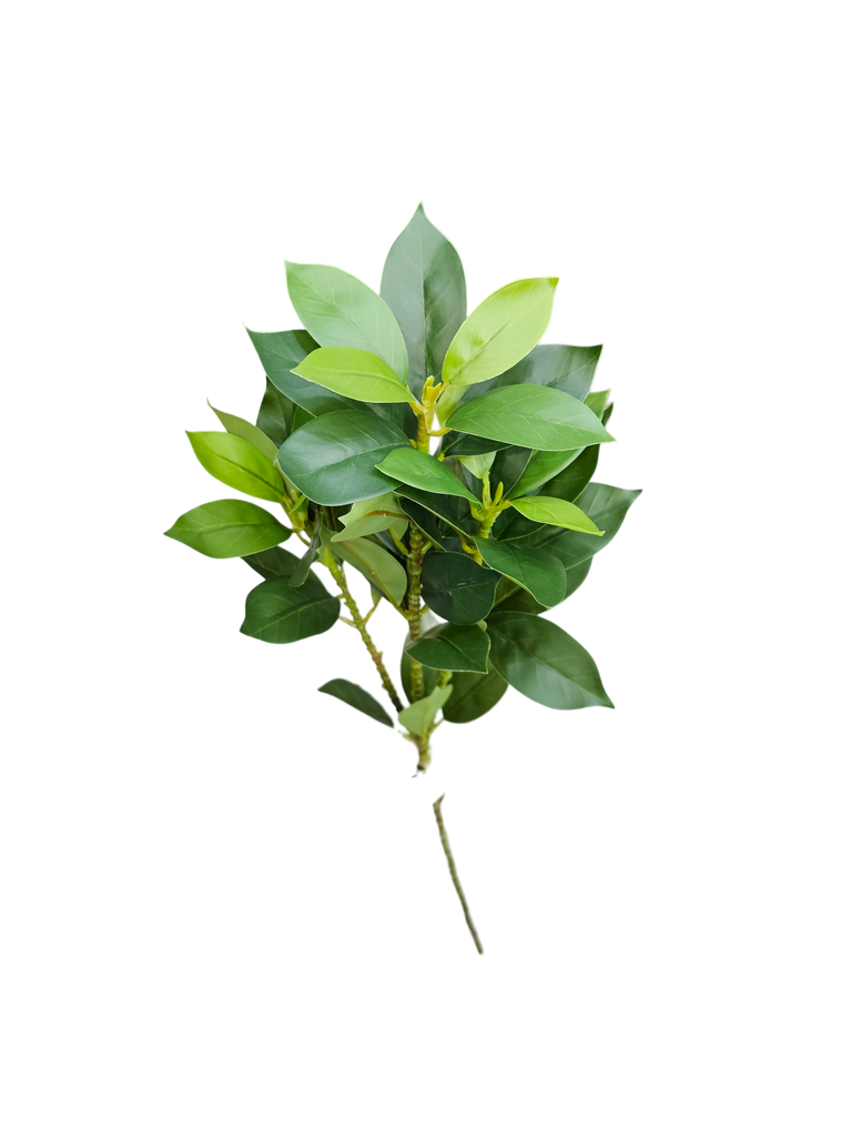 چەپکی سەوز