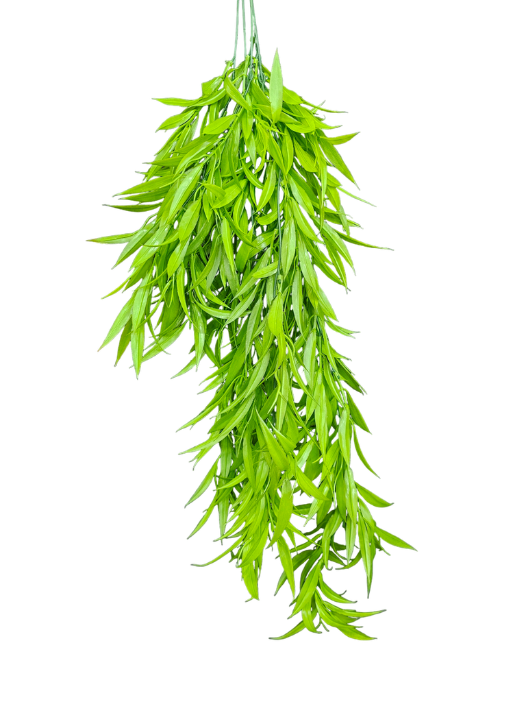 شۆرەبی