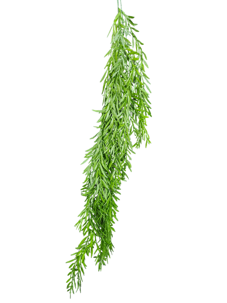 شۆرەبی