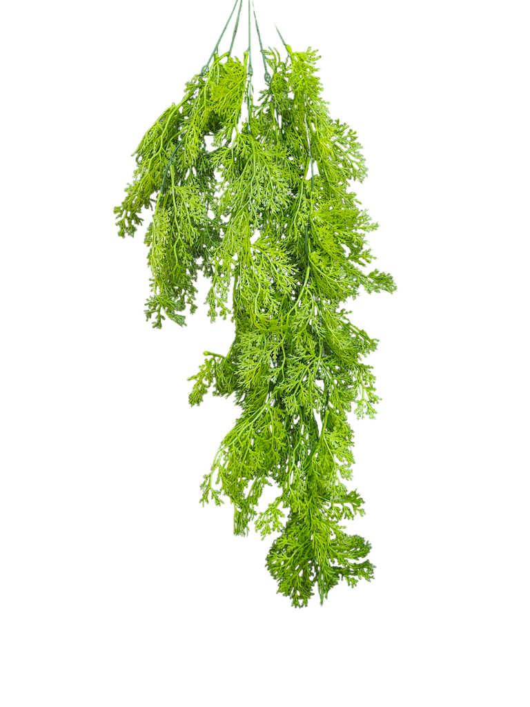 شۆرەبی