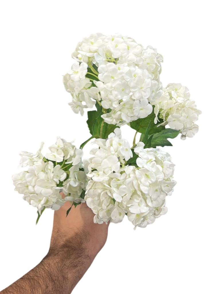 گوڵی تاک