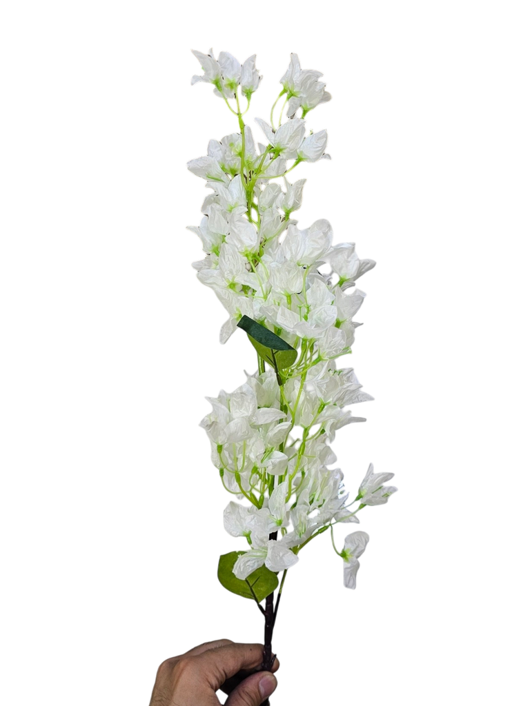 تاکی جەهەنەمی