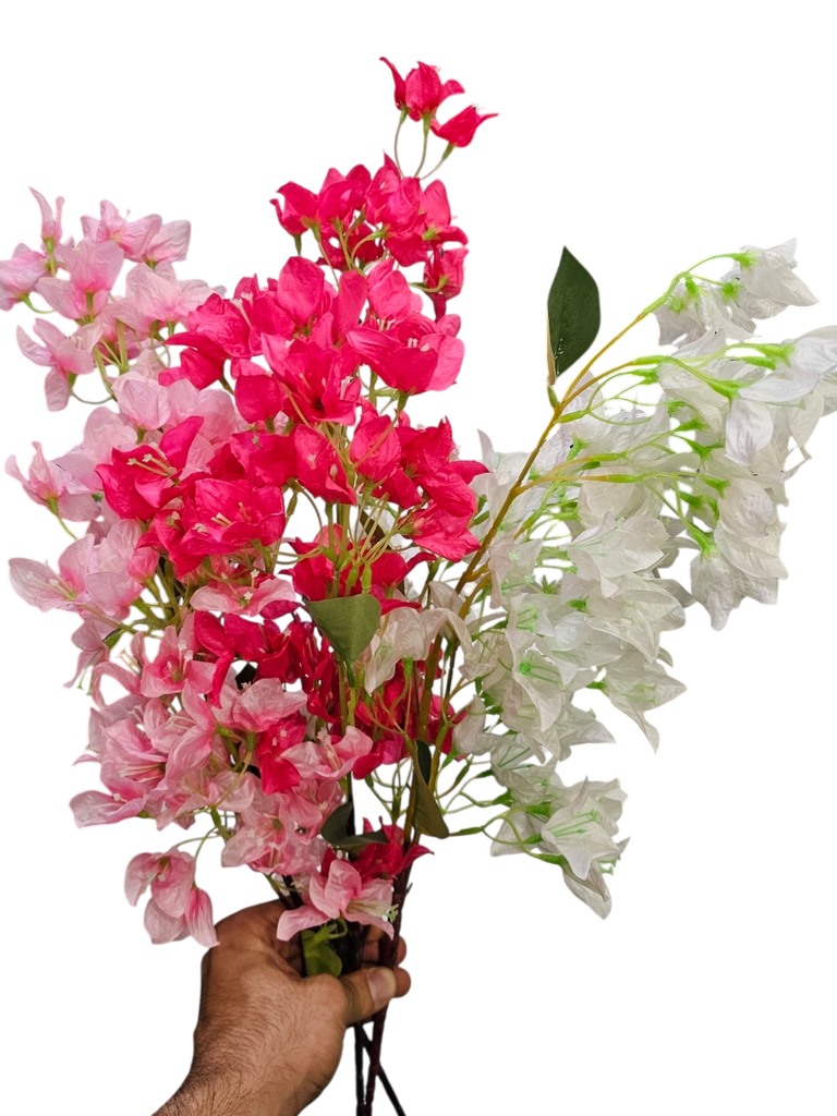 تاکی جەهەنەمی