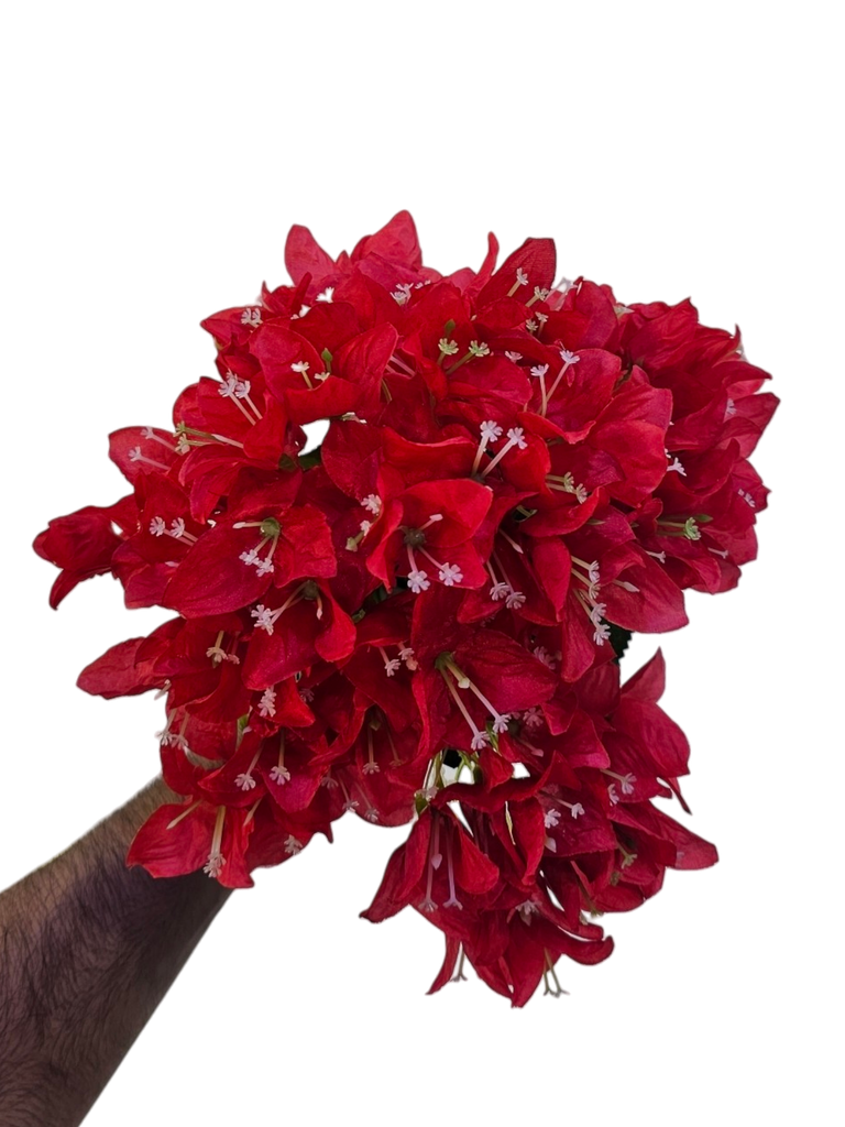 چەپکی جەهەنەمی سور