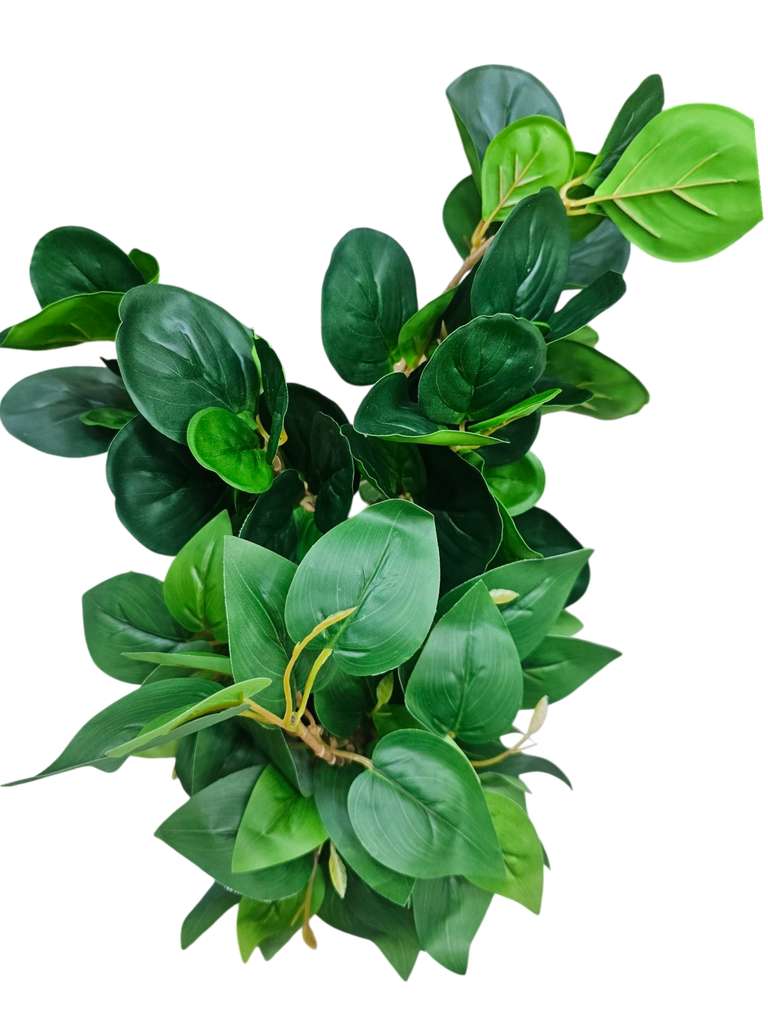 تاکی سەوز