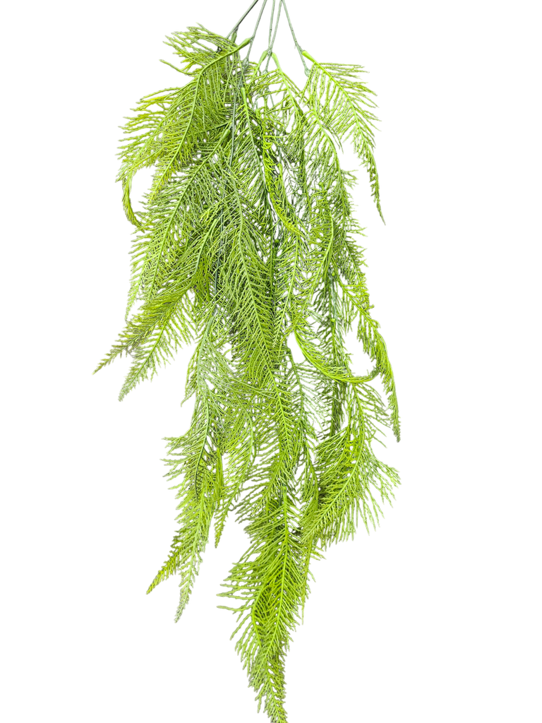 شۆڕەبی