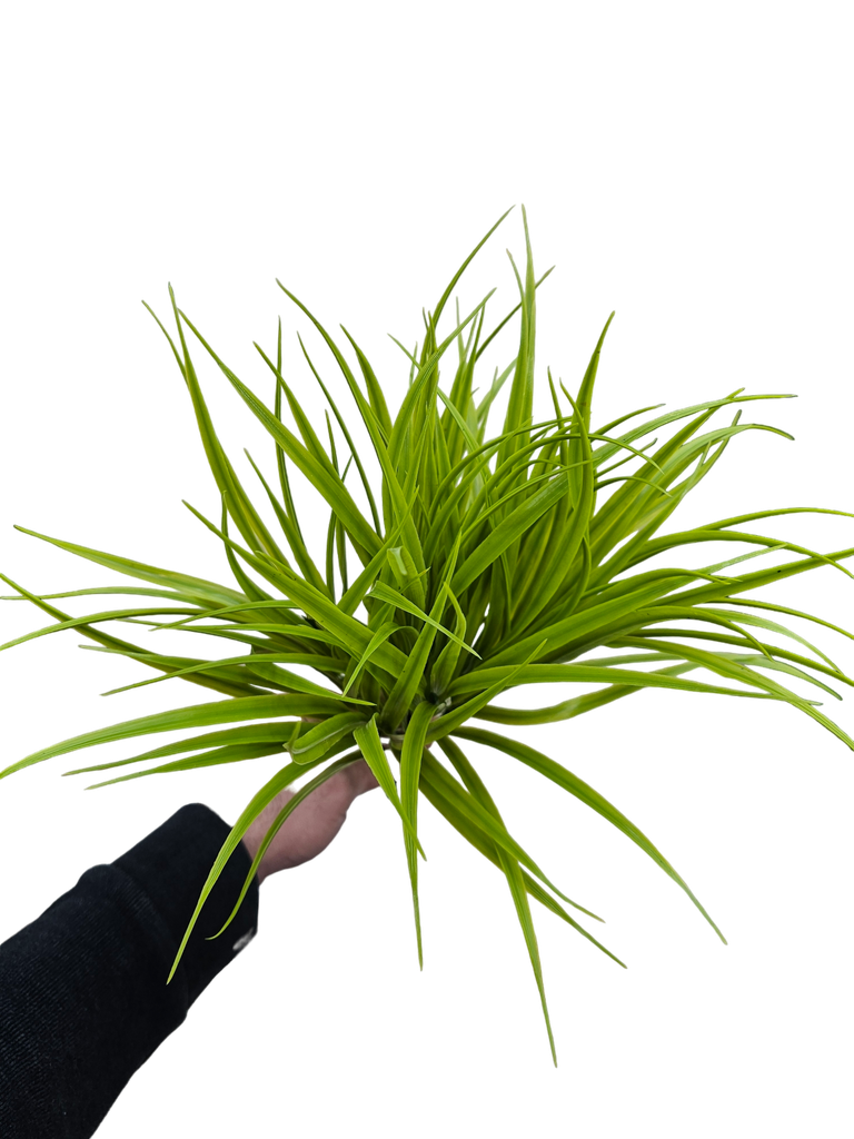 چەپکی سەوز