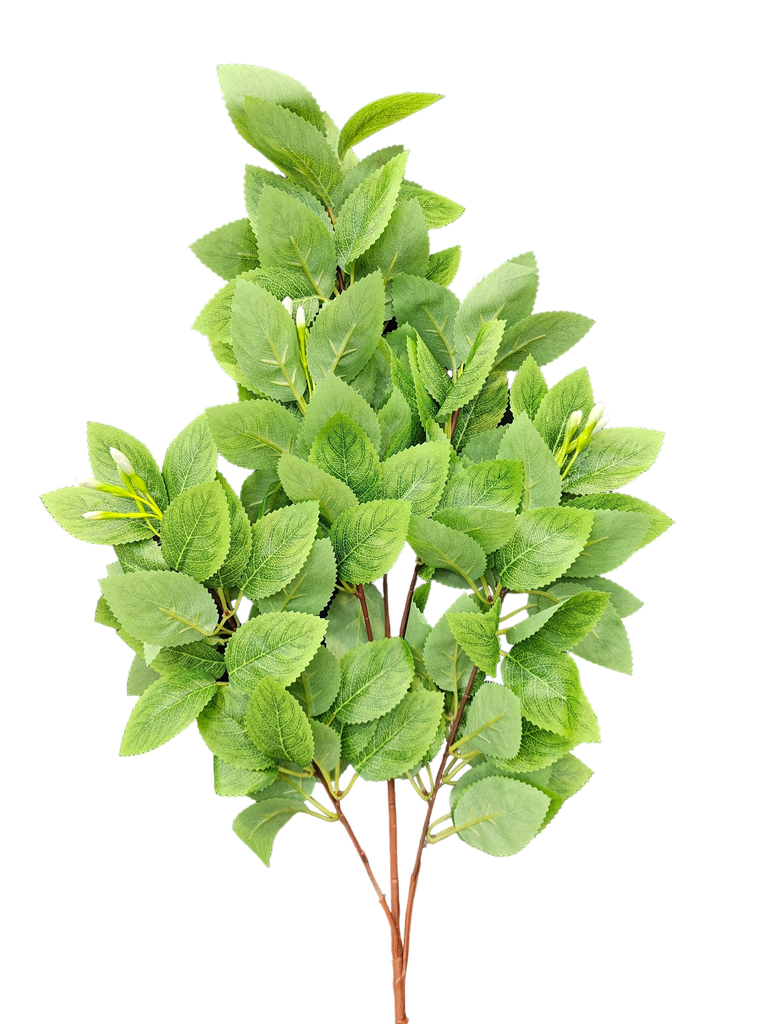 چەپکی سەوز