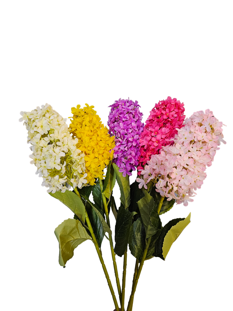 تاکی لاڤندەر بچوک