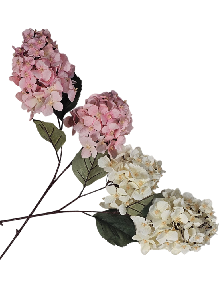 گوڵی تاک