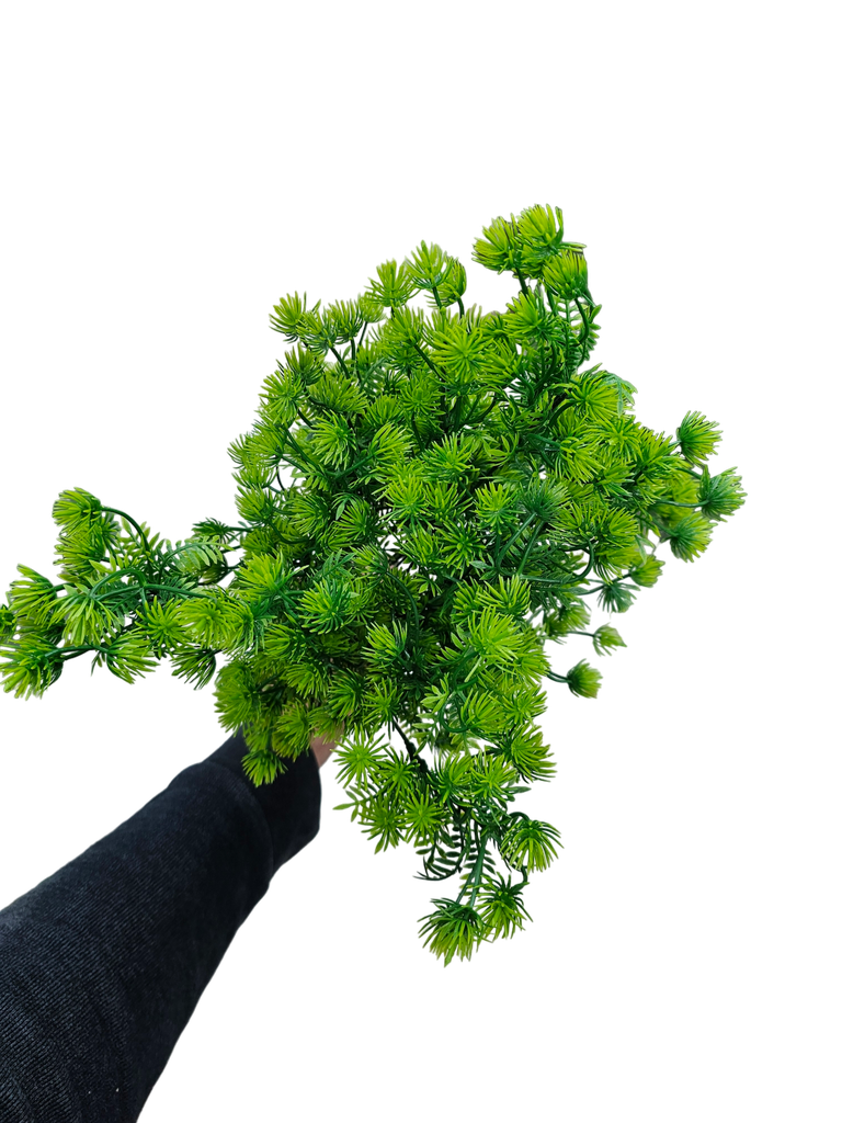 چەپکی سەوز