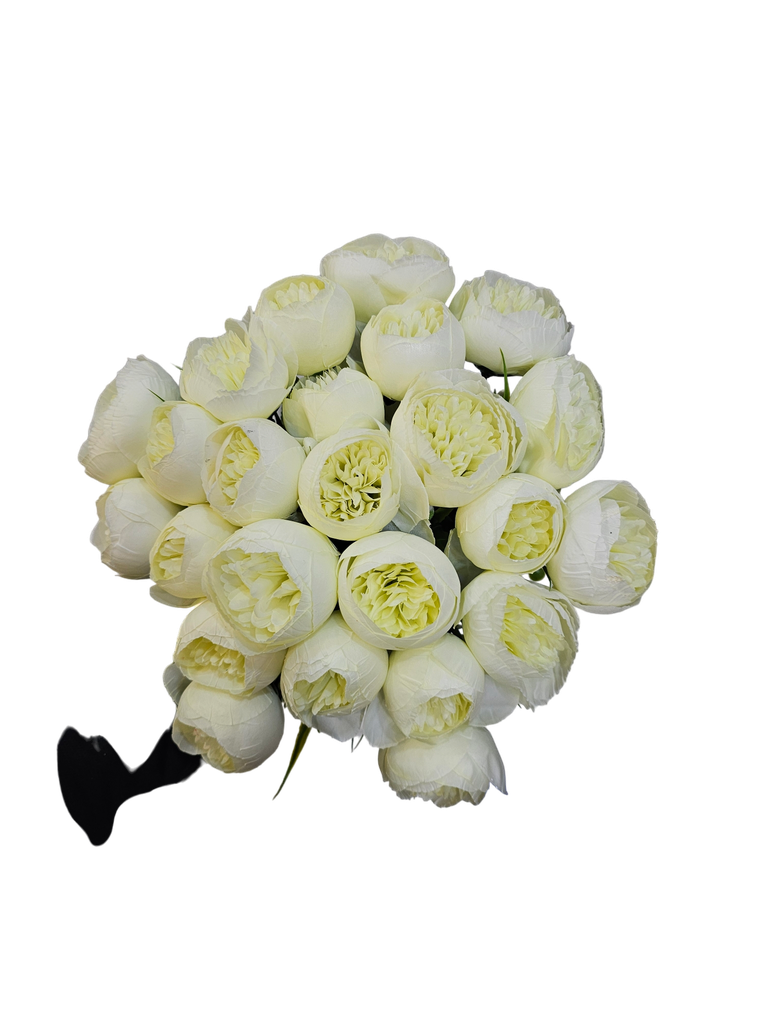 گوڵی تەماتە 30 شاخ