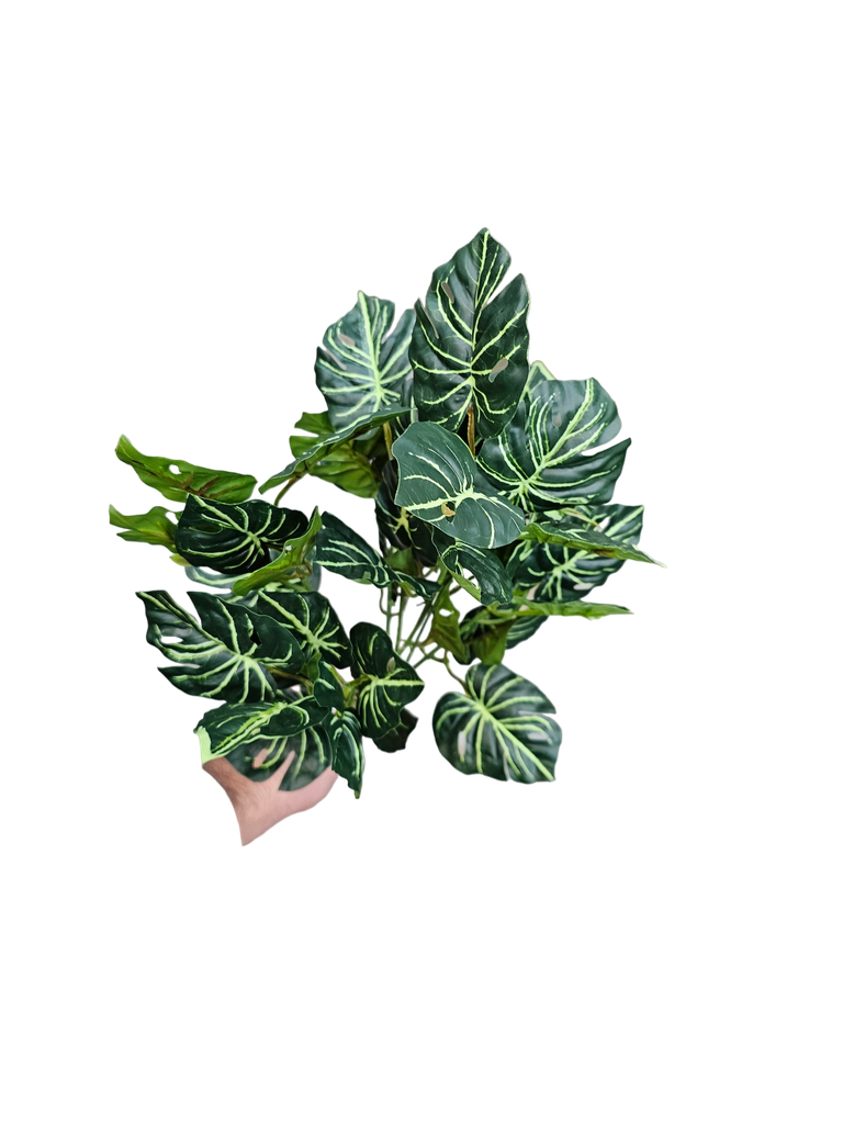 چەپکی سەوز