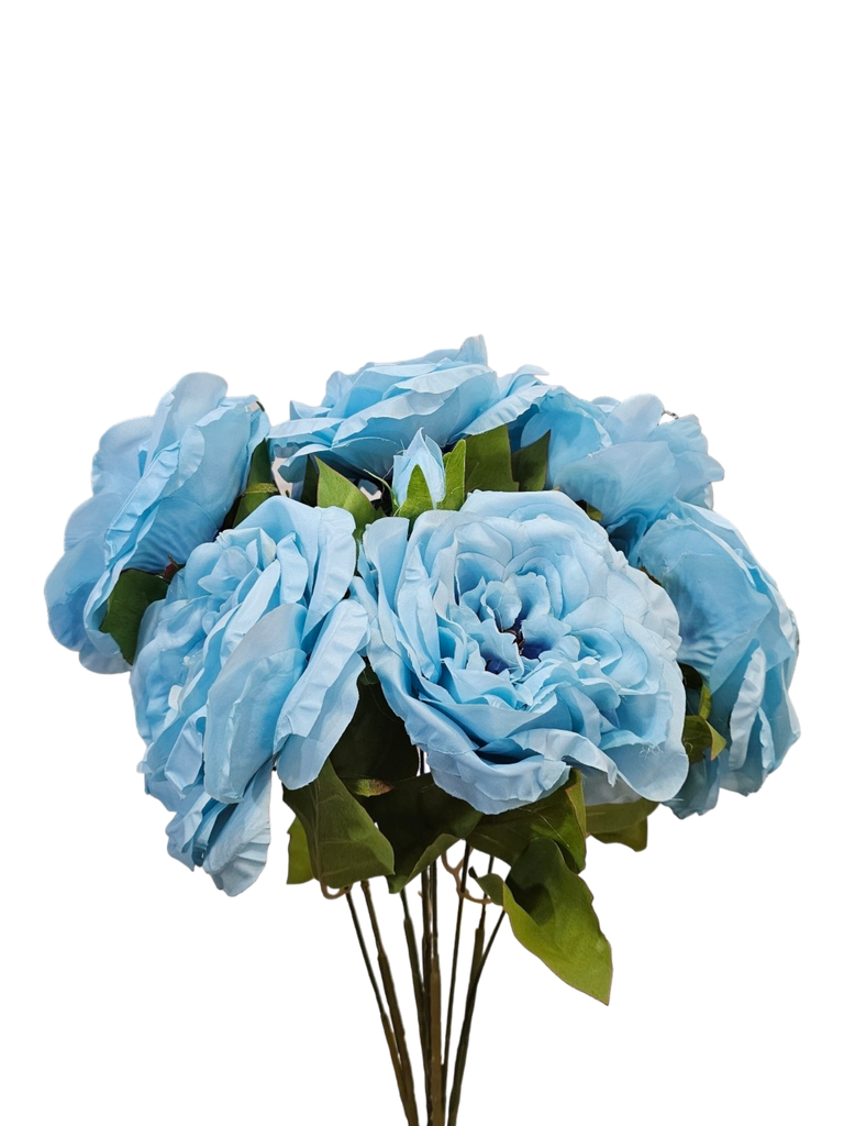 دوار شمس شین