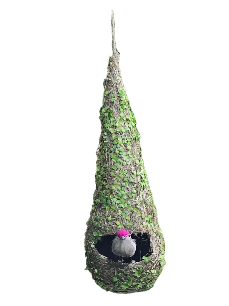 هێلانە