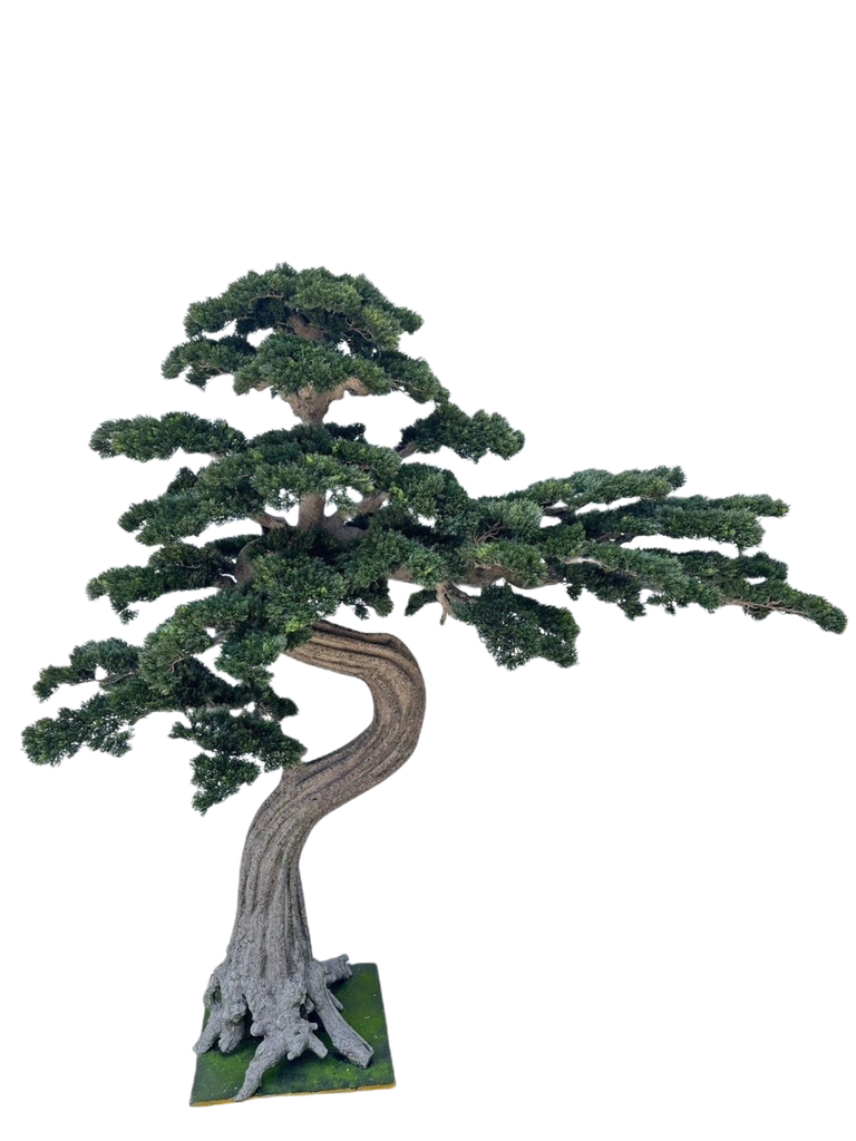 Bonsai tree