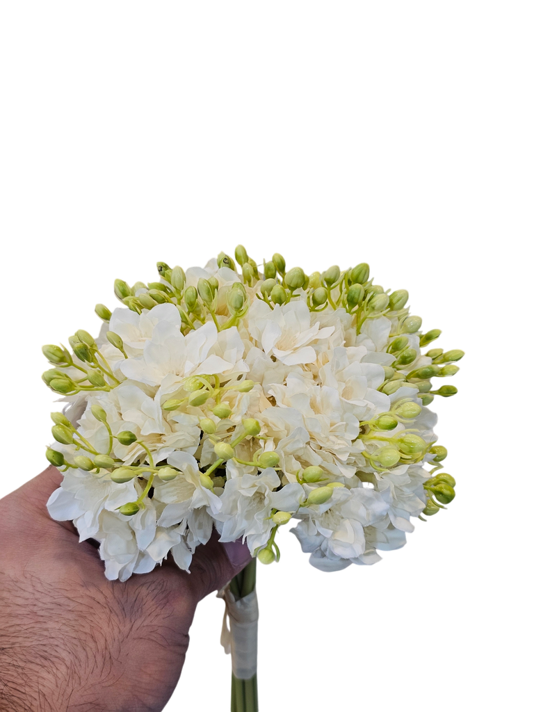 چەپکی دەستی بوک