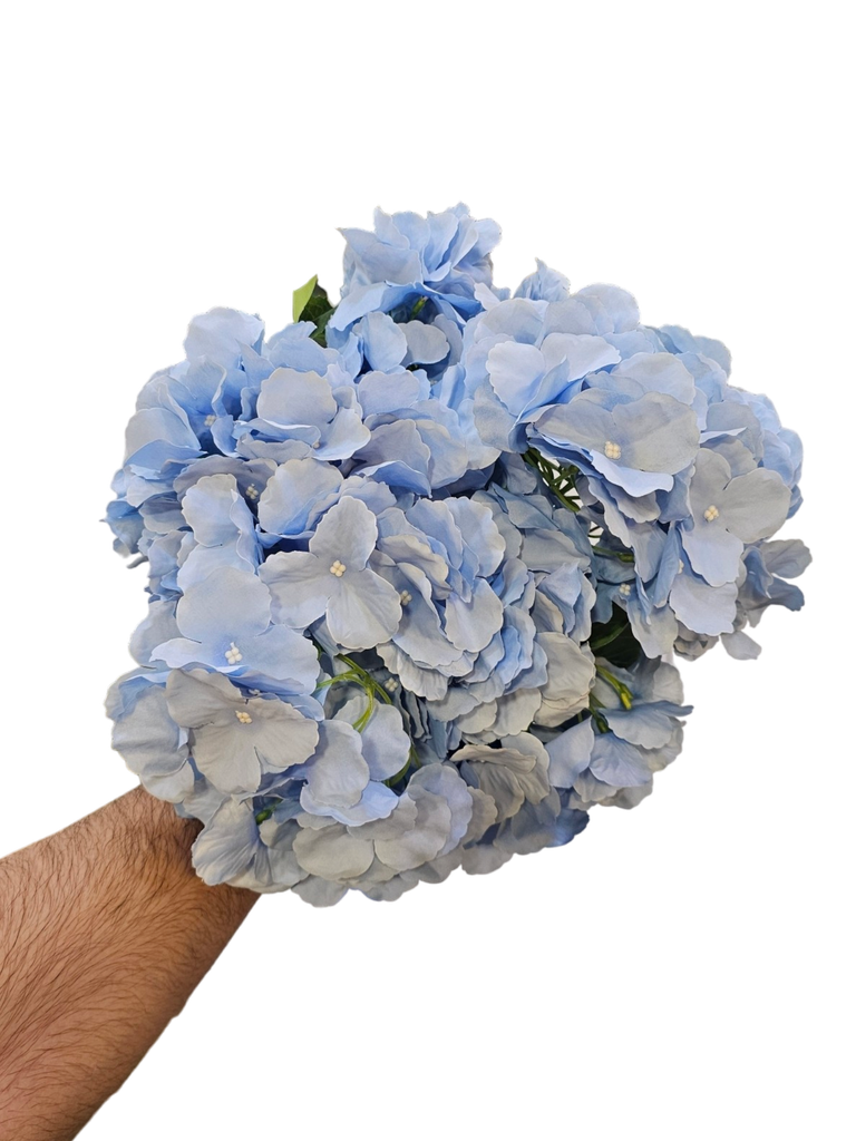 هایدرنجە شین