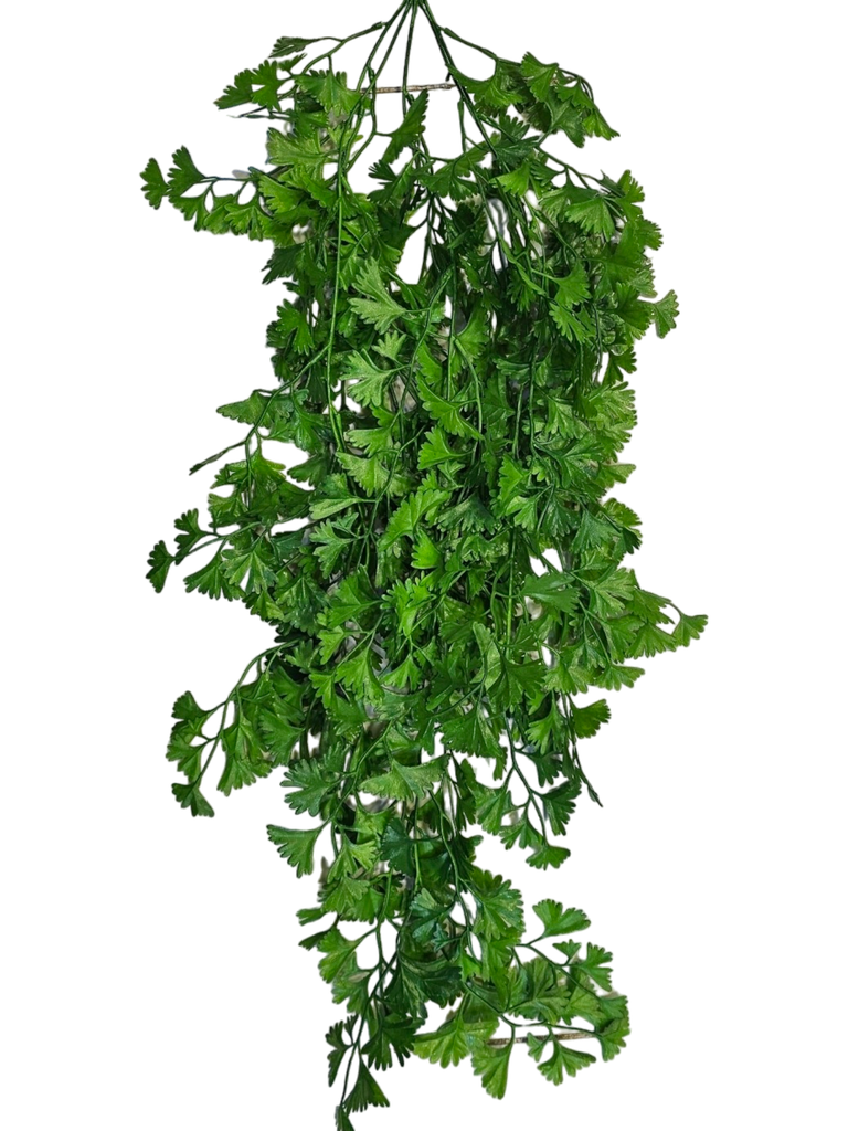 شۆڕەبی