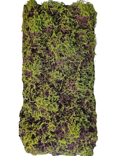 قەوزە 50*100 سانتیم