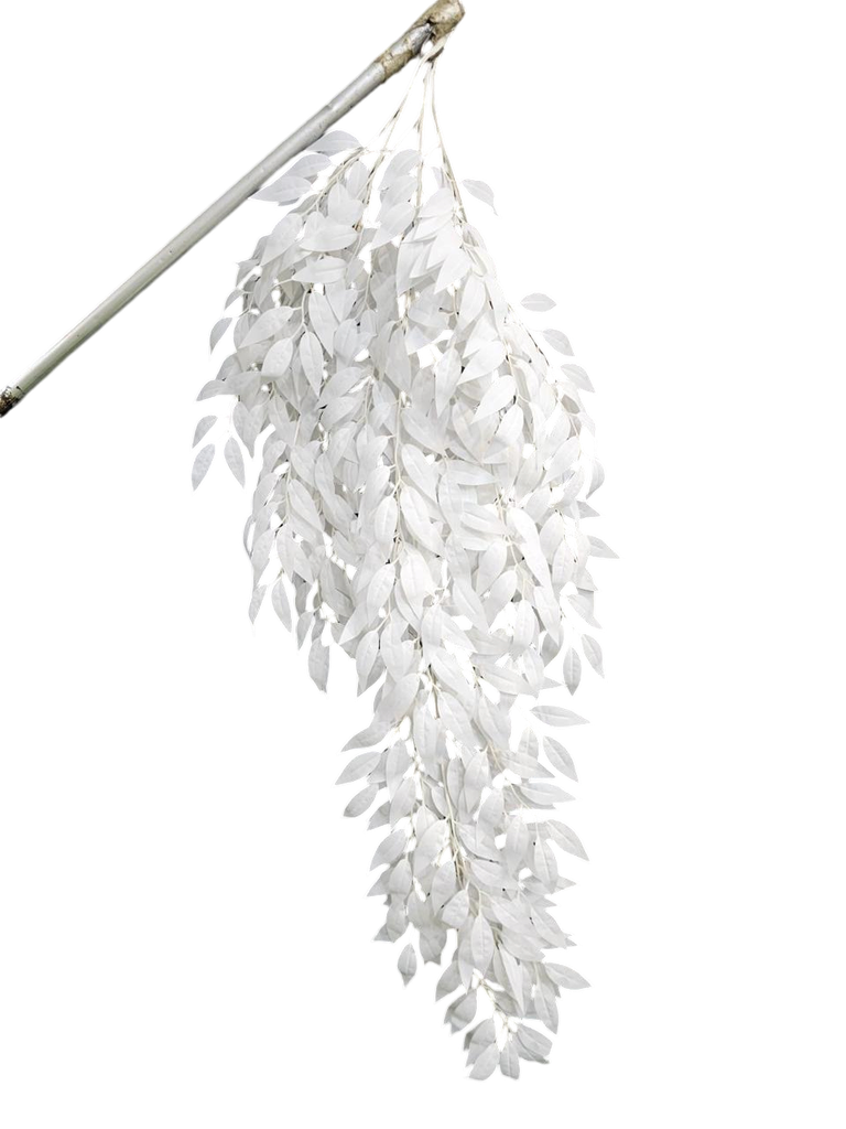 چەپکی سپی