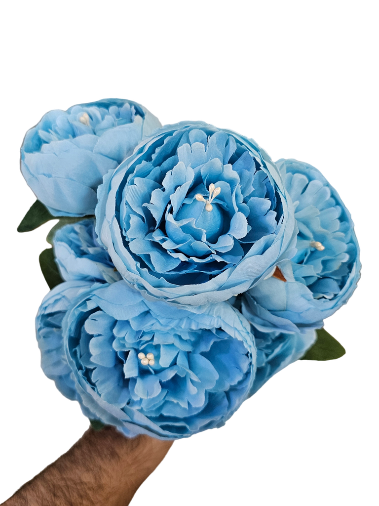 چەپکی تەماتە شین فاتح