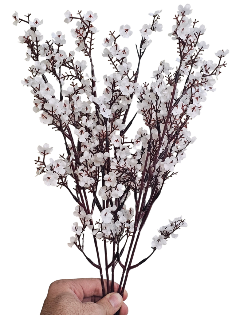 چەپکی دنکە هەنار سپی