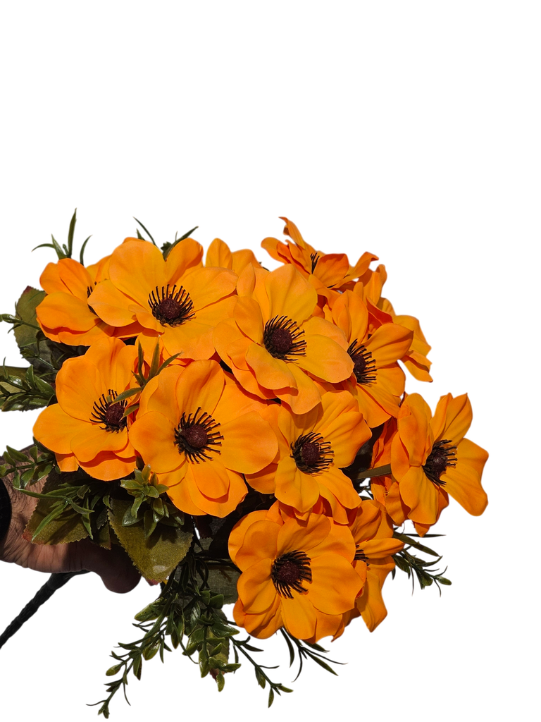 گوڵی دەیزی پرتەقاڵی