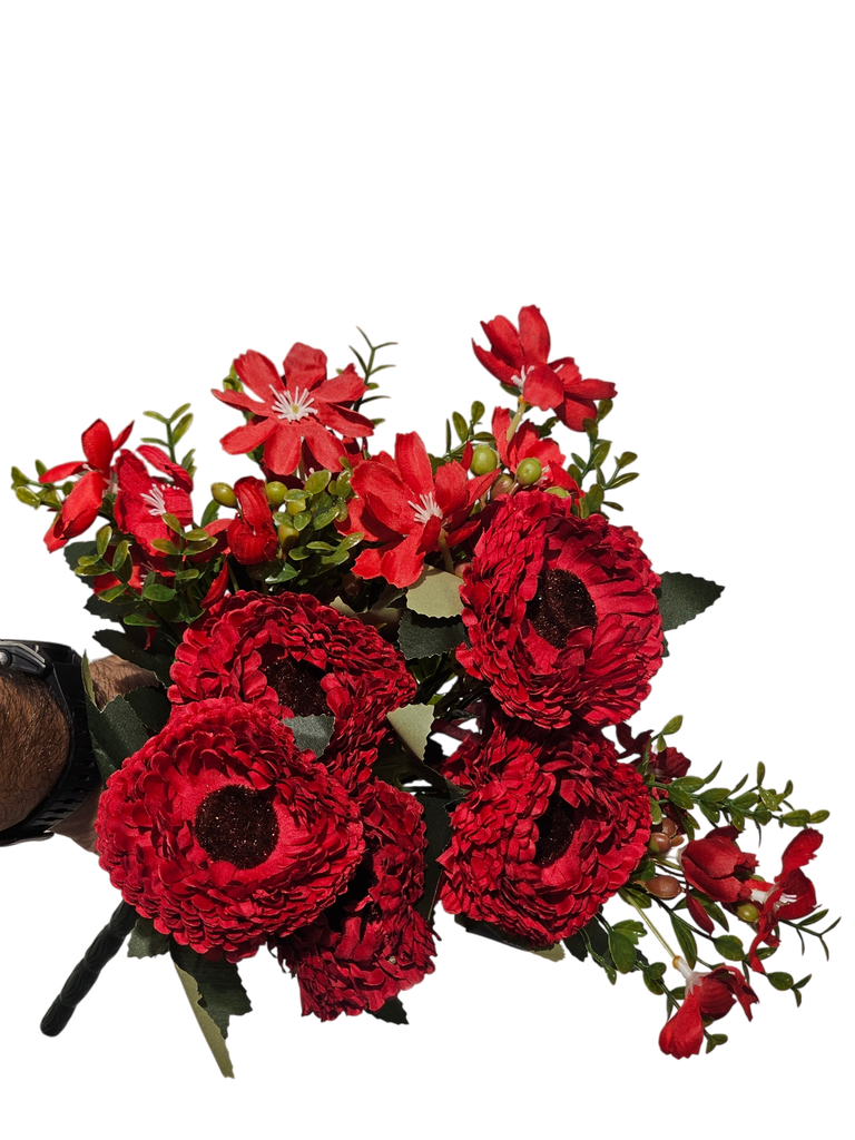 گوڵەبەڕۆژەی سوور