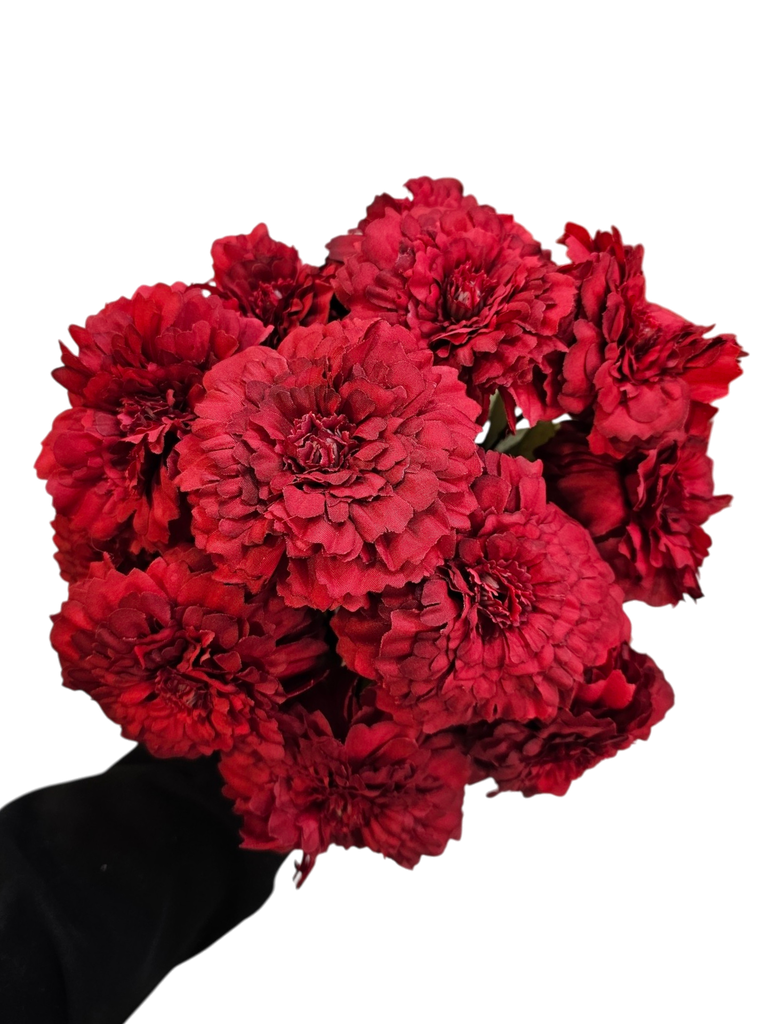 داودی سور