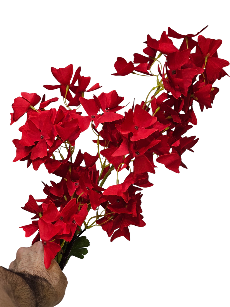 گوڵی تاکی سۆر
