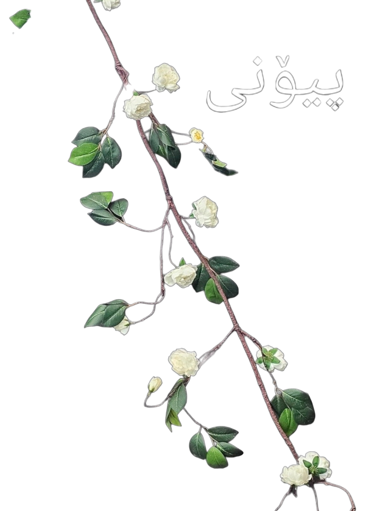 رەگی بە گوڵ