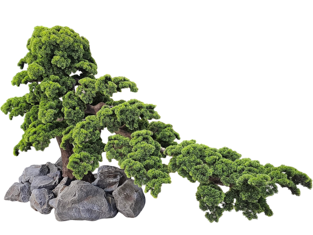 داری بۆنسای