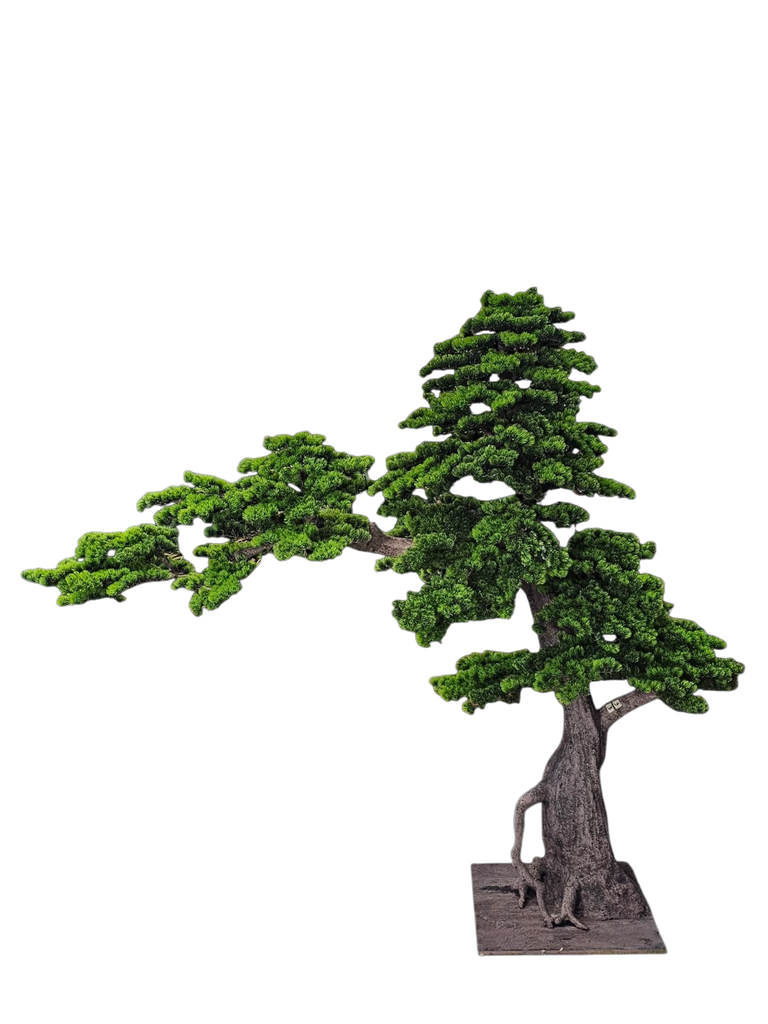 Bonsai tree