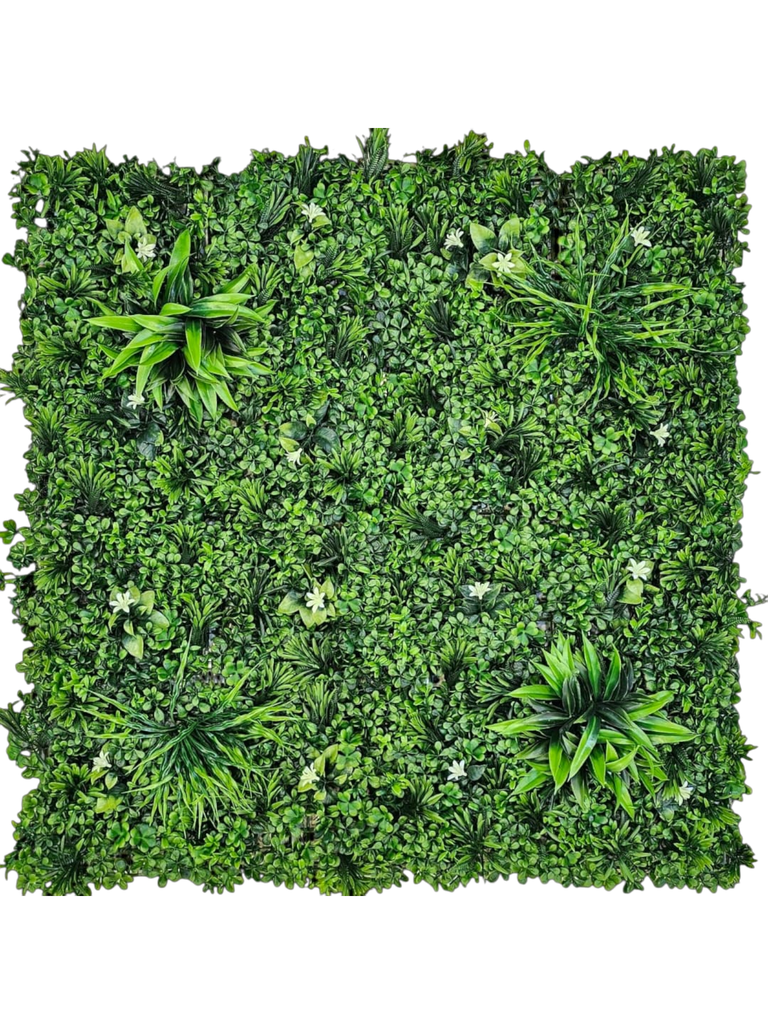 فریز متر مربع