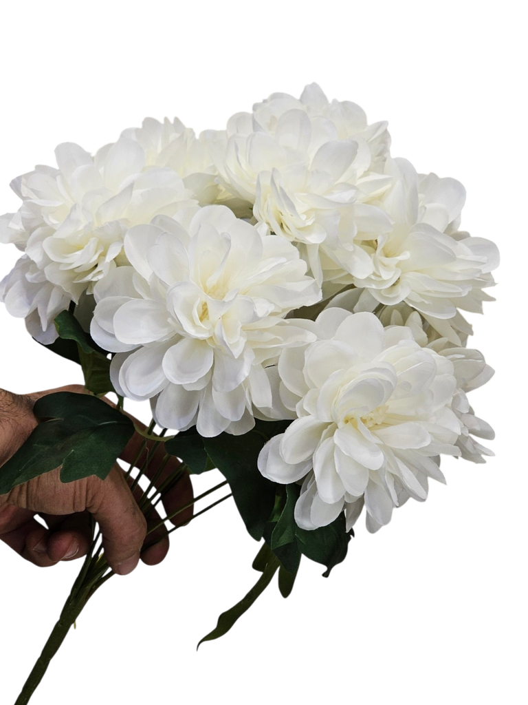 کامیلیا ئۆفوایت