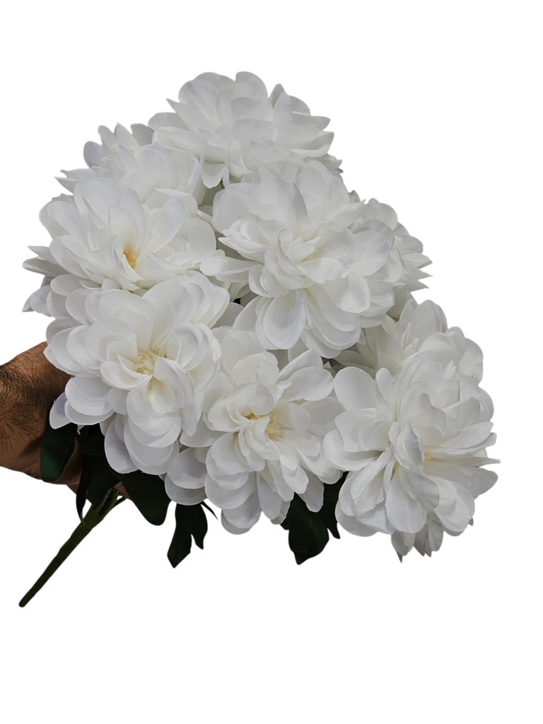 کامیلیا سپی