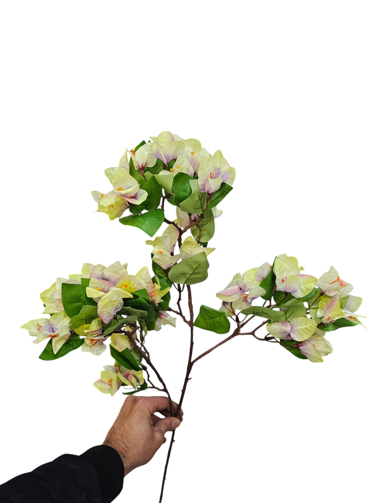 جەهەنەمی سەوز